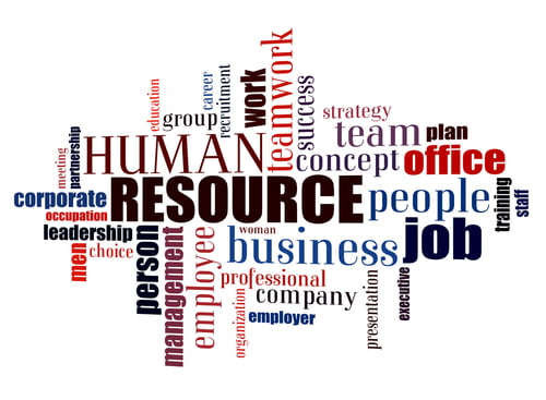 How PEOs can handle all your HR needs