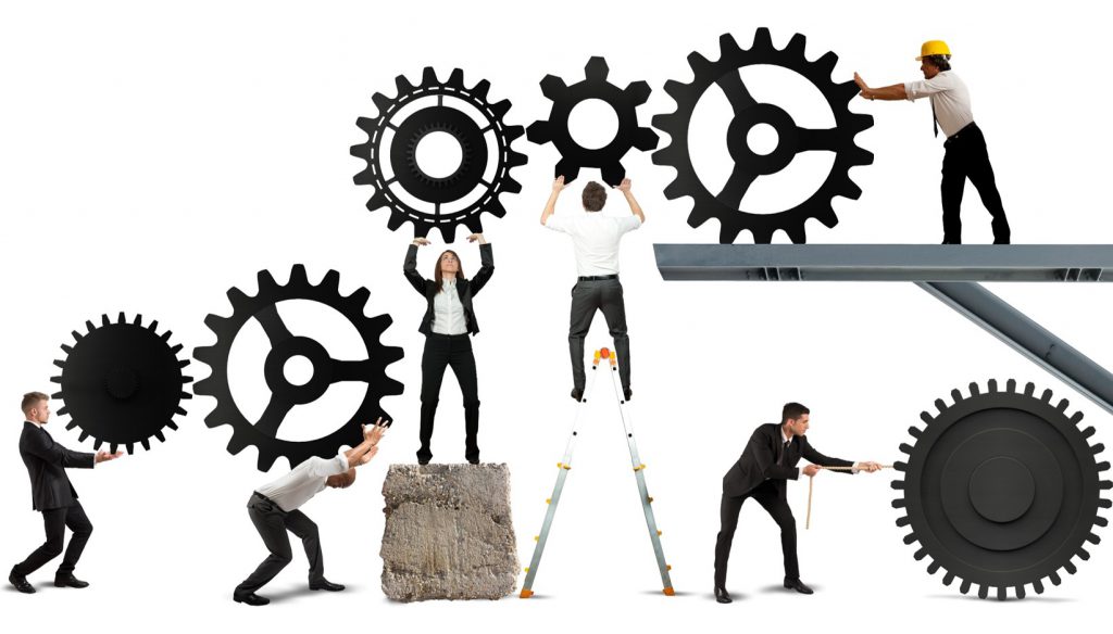 What are the basics to establish a solid team?